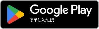 Google store